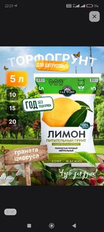 Screenshot_2026-02-20-22-23-38-519_com.wildberries.ru.jpg