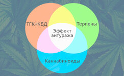 Effekt-anturazha-s-tochki-zreniya-nauki__v5rDiDIcz24O0Idg.jpg