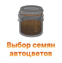 vybor semyan avtotsvetov-100.jpg