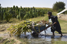 1773766102275.png 1773766102275.png