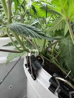 IMG_8113.jpeg