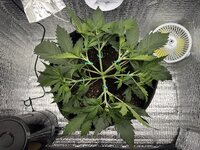 image_09.jpg