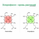 IMG_0432.jpeg