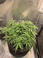 IMG_0440.jpeg