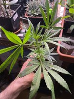 IMG_3958.jpeg