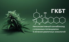 Chto-nam-izvestno-o-geksakannabitriole__yE22NTMs0U4M8RsA.jpg