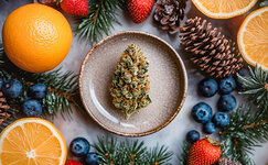 Terruar-i-terpeny__S01fWzSCWZTsvcc1.jpg Terruar-i-terpeny__S01fWzSCWZTsvcc1.jpg