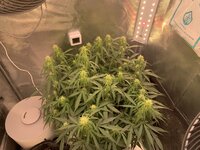IMG_0735.jpeg