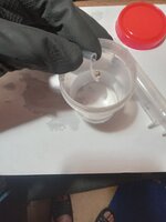 20260426_161227156.jpg