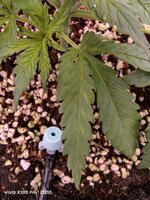 IMG_20260502_092428.jpg