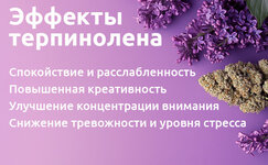 ehffekty-terpinolena__MoKDWoWTsW60YU3a.jpg ehffekty-terpinolena__MoKDWoWTsW60YU3a.jpg