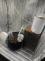 IMG_2706.jpeg