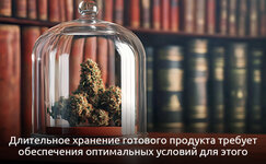 Na-chto-yeshche-nuzhno-obrashchat-vnimanie__uNELvdrSTI2wlbyg.jpg