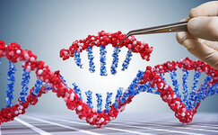princip-raboty-crispr__bMpv25R2xKPE7ODM.jpg