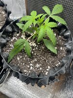 IMG_3024.jpeg