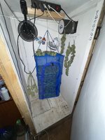 IMG_4356.jpeg