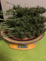 IMG_2152.jpeg