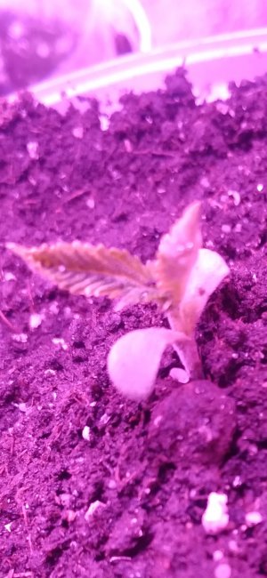 20220615_010540.jpg