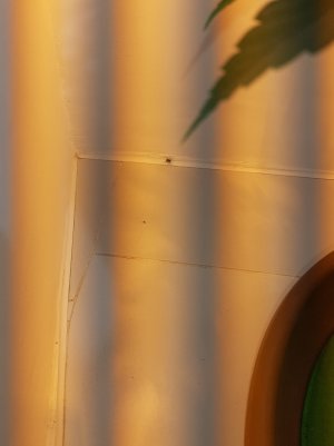 20220617_204231.jpg