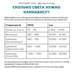Свет показатели.jpg