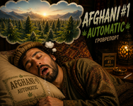 file_0000000096d4720ab4f6f86c48277e56.png