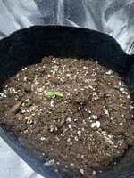 IMG_3056.jpeg
