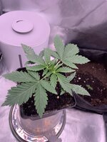 IMG_5831.jpeg