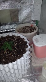 1787744096284.jpg