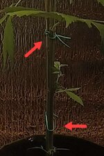 1000133138.jpg