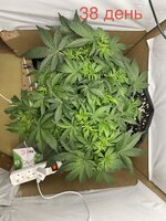 IMG_2731.jpeg