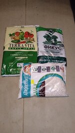 1000133456.jpg