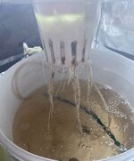 IMG_6932.jpeg