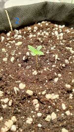 1000133759.jpg