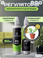 IMG_2835.jpeg
