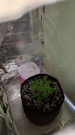 1000134182.jpg