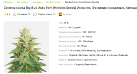 big bud.png