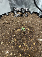 499B9470-D52D-4FDA-A8B3-6D53500643B2.jpeg
