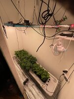IMG_5444.jpeg