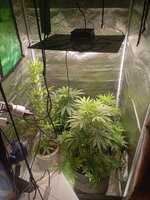 IMG_20261004_130842.jpg