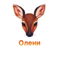 Защита конопли от оленей Защита конопли от оленей