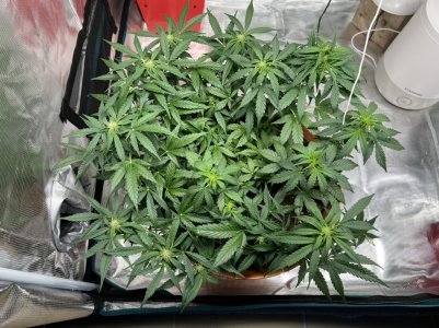 5B722C4E-A0EA-41BE-8BAF-081749F9629E.jpeg