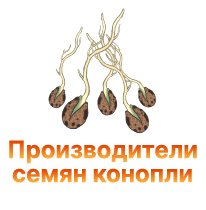 12-Proizvoditeli semyan konopli-100.jpg