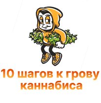 24-10 shagov k grovu kannabisa-100.jpg