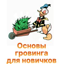 23-osnovy grovinga dlya novichkov-100.jpg