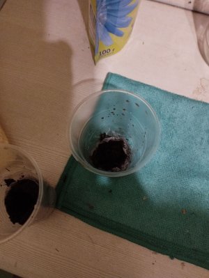 IMG_20220904_162706.jpg