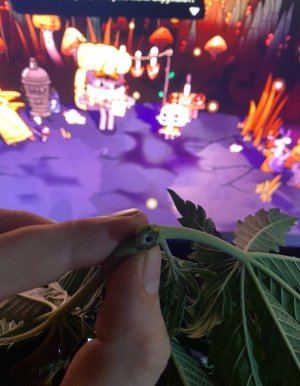 2F27A98B-6B43-4584-A874-B2BB4644A71D.jpeg