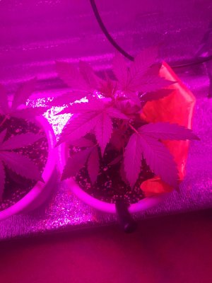 20221001_153033.jpg