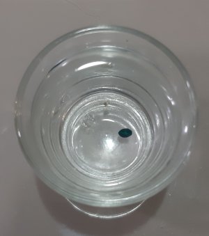 20221009_123344.jpg