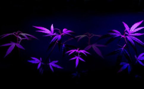 top-cover.jpg