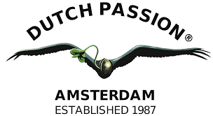 dutch passion.png